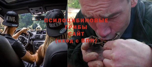 прущие крисы Дмитров