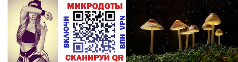 Купить закладки  Дюртюли  Галлюциногенные грибы прущие грибы 